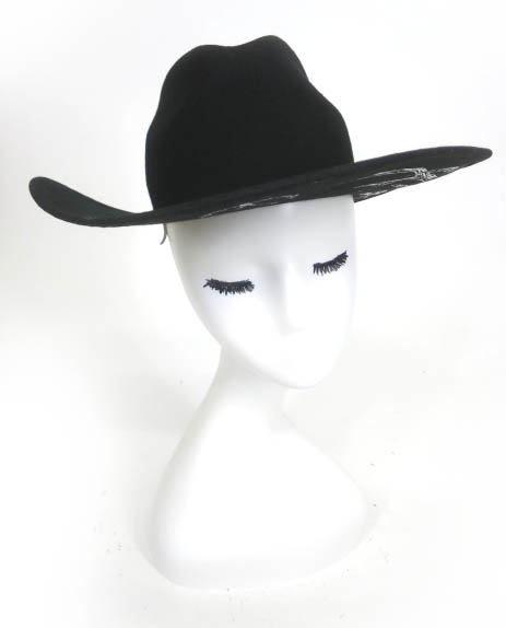 Restyle ペイガンハット